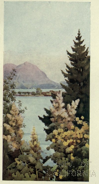 Un giardino, Lago di Como, illustrazione da 