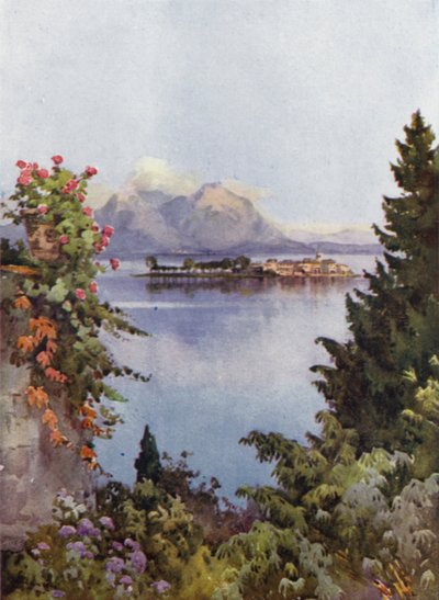 Un giardino a Baveno, Lago Maggiore da Ella Du Cane
