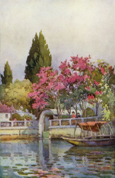 Un giardino sul lago, Lago d
