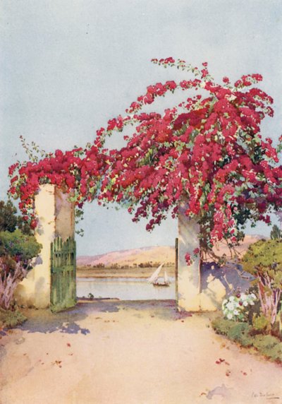 Un giardino a Luxor da Ella Du Cane