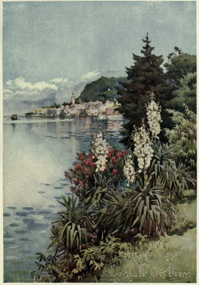 Un gruppo di Yuccas, Villa Melzi, Lago di Como, Illustrazione da 