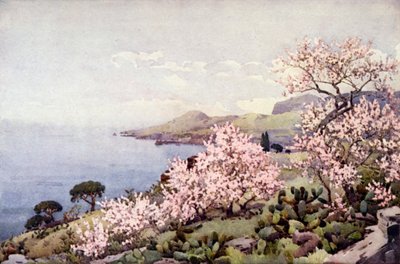 Fior di mandorlo da Ella Du Cane