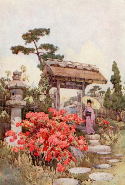 Azalee da Ella Du Cane