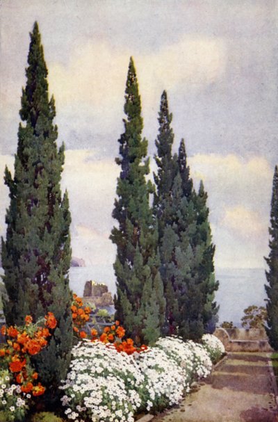 Viale dei cipressi, Quinta Stanford da Ella Du Cane