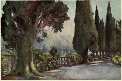 Viale dei cipressi, Villa del Pizzo, Lago di Como, illustrazione da 