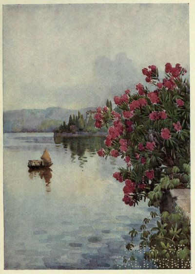 Oleandri, Lago di Como, Illustrazione da 