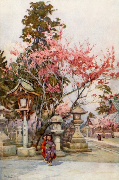 Fiori di Prugno e Lanterne da Ella Du Cane