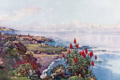 Puerto Orotava da Ella Du Cane