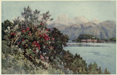 Rose, Villa Carlotta, Lago di Como, Illustrazione da 