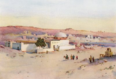 La strada da Assuan a Shellal da Ella Du Cane