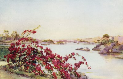Vista dall