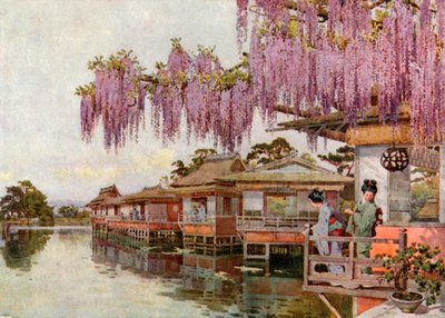 Wistaria, Nagaoka (litografia a colori) da Ella Du Cane