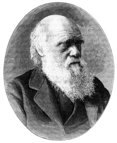 Charles Darwin, naturalista inglese del XIX secolo, 1900 da Elliott and Fry