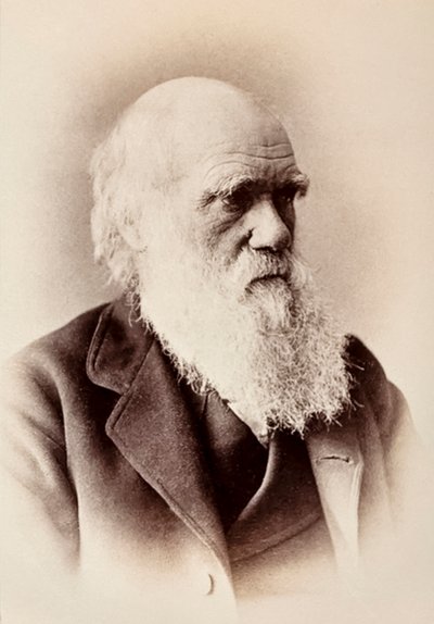 Charles Darwin: naturalista inglese da Elliott und Fry Studio