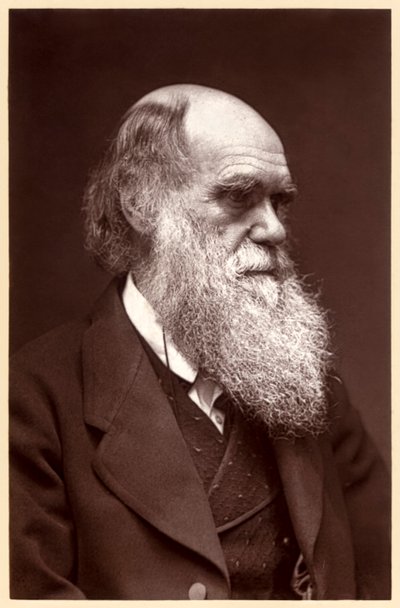 Charles Darwin: naturalista inglese da Elliott und Fry Studio