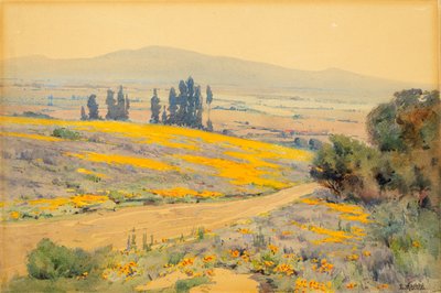 Paesaggio primaverile della California da Elmer Wachtel