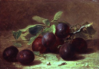 Una vespa che riposa su un rametto di prugne Victoria da Eloise Harriet Stannard