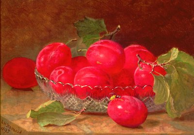 Natura morta, 1895 da Eloise Harriet Stannard