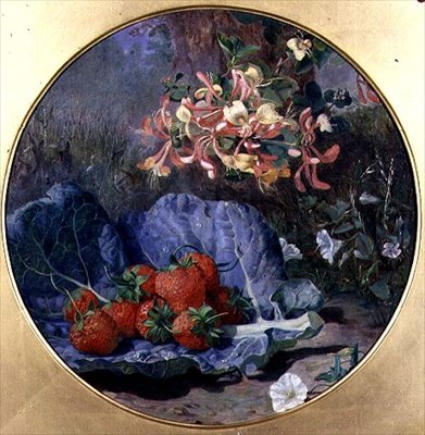 Fragole da Eloise Harriet Stannard