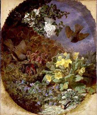 Scriccioli che nutrono i loro piccoli in un nido (s. & d. 1876) da Eloise Harriet Stannard