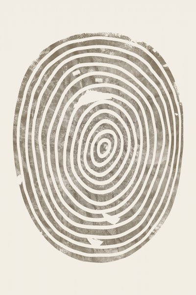 Anelli concentrici di legno da Ema Paraschiv