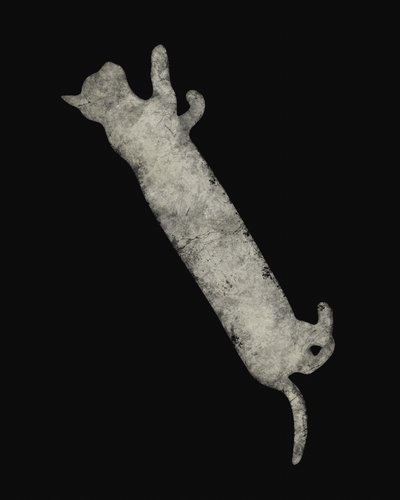 Elegante gatto che si stira da Ema Paraschiv