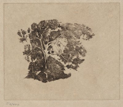 Studio di un albero da Emil Carlsen