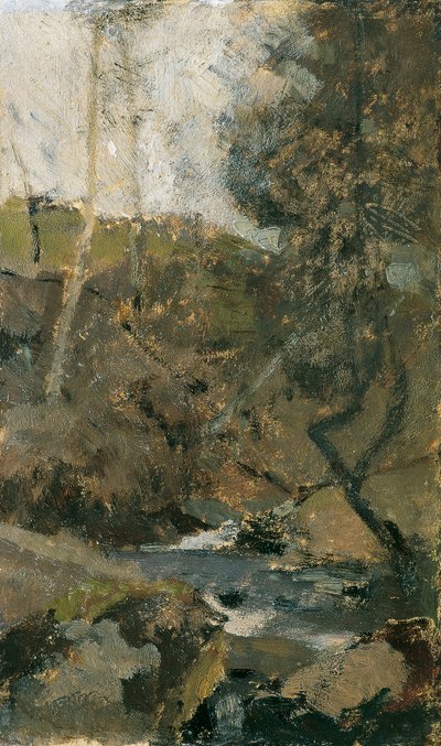 Ruscello nella Foresta Viennese da Emil Jakob Schindler