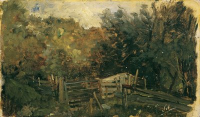 Studio di natura da Goisern da Emil Jakob Schindler