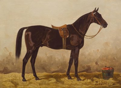 Cavallo nero sellato da Emil Volkers
