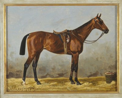 Cavallo sellato da Emil Volkers