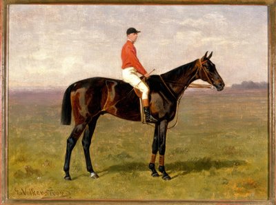 Cavallo e cavaliere da Emil Volkers