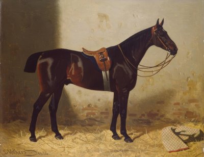 Ritratto di cavallo da Emil Volkers