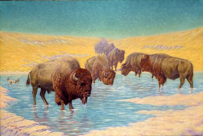 Buffalo Scene da Emil W. Lenders