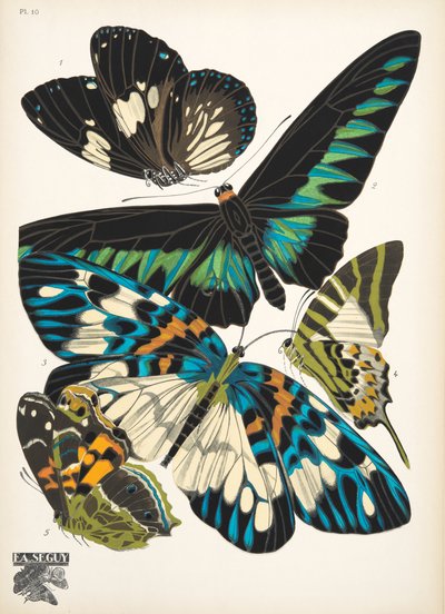 Tavola 10, da Papillons da Émile Allain Séguy