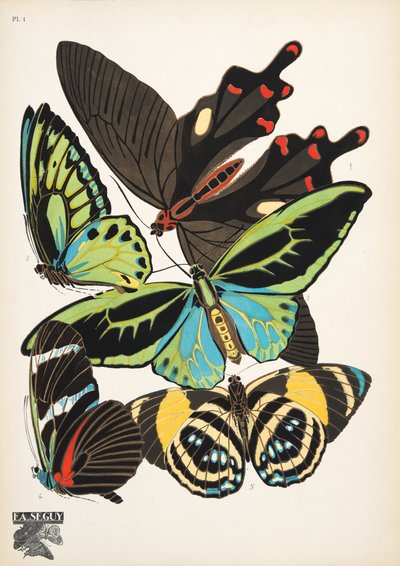 Tavola 1, da Papillons da Émile Allain Séguy