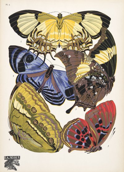 Tavola 4, da Papillons da Émile Allain Séguy