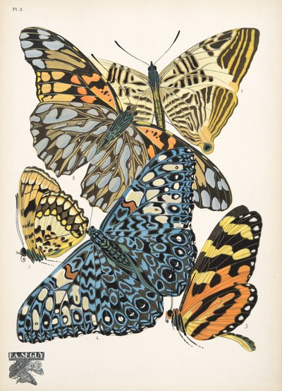 Tavola 3 da Papillons, pub. 1925 da Émile Allain Séguy