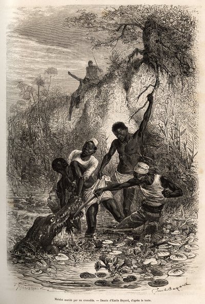 Un marinaio della spedizione, attaccato da un coccodrillo, incisione di Emile Bayard per illustrare una spedizione in Africa Centrale da Emile Antoine Bayard