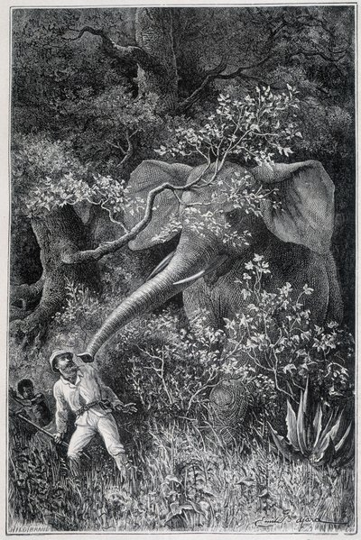 Livingstone sorpreso da un elefante, in "Le Tour du Monde" da Emile Antoine Bayard