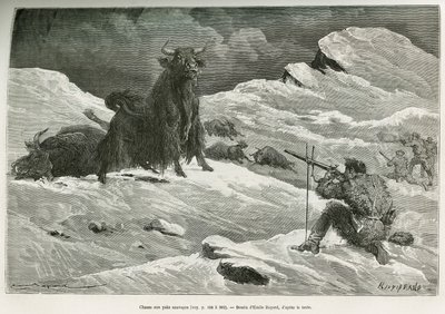 Scena di caccia allo yak selvatico, disegno di Emile Bayard per illustrare il viaggio in Mongolia e nella terra dei Tanguti dal 1870 al 1873, del tenente colonnello Prjewalski. Incisione in Le tour du monde da Emile Antoine Bayard