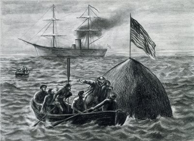 illustrazione per il romanzo 