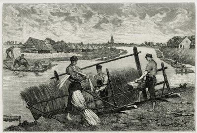 La ruggine del lino (macerazione per facilitare la separazione della corteccia dallo stelo) nella Lys (fiume nord della Francia e Belgio). Incisione di Emile Claus, per illustrare la storia “La Belgique”, di Camille Lemonnier, scrittore e critico d