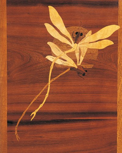 Libellule, dettaglio di mobile in stile Art Nouveau da Emile Galle