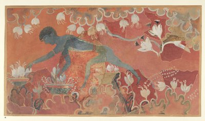 Affresco del Raccoglitore di Zafferano dal Palazzo di Minosse a Cnosso (Disegno di Evans L/3 a)), circa 1921 (carta, pigmento) da Emile Gilliéron