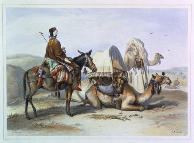 Kafila con un Cammello che Porta un Hodesh, illustrazione da 