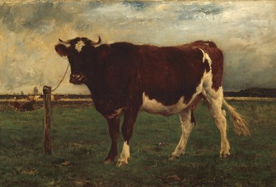 Studio di una mucca da Emile van Marcke de Lummen