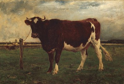 Studio di una mucca, 1870-90 da Emile van Marcke de Lummen