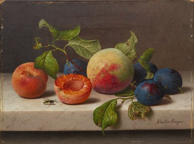 Natura morta con frutta da Emilie Preyer
