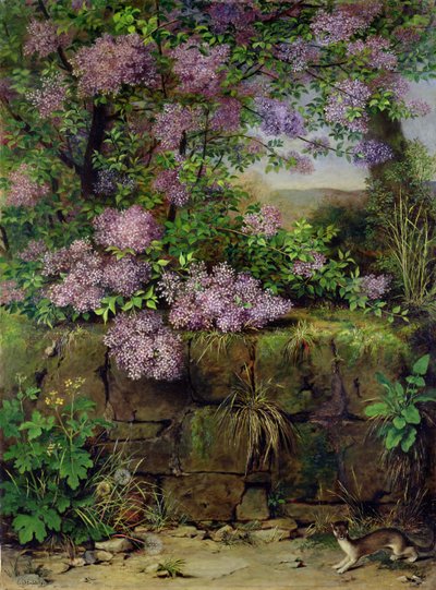Lillà in fiore davanti a un muro da Emilie von der Embde